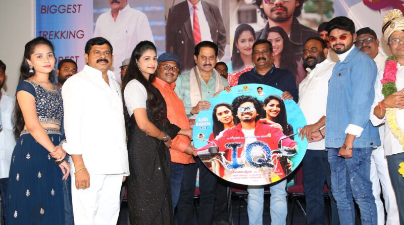 IQ Movie “Audio Function